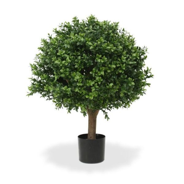 Buxus Bol Deluxe 40 cm 2