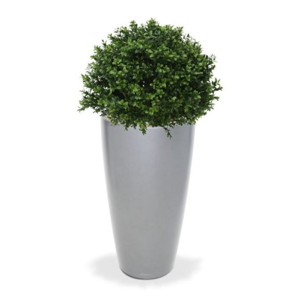 Buxus Bol Deluxe 40 cm 5