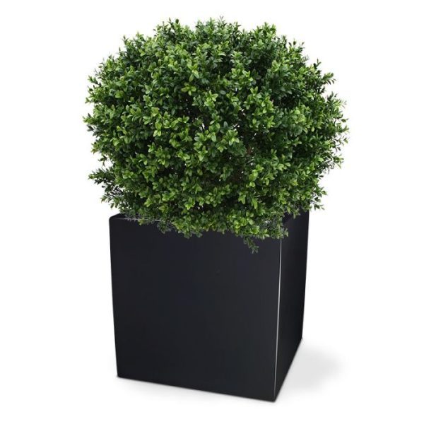 Groene kunstplanten de diameter is ongeveer 70 cm. Standaard wordt de bol geleverd in een plastic pot. Let op! De stam is van echt hout en dus vatbaar voor weersinvloeden en zwammen. Voor een langere levensduur raden wij aan om de stam te behandelen met een primer of beits.