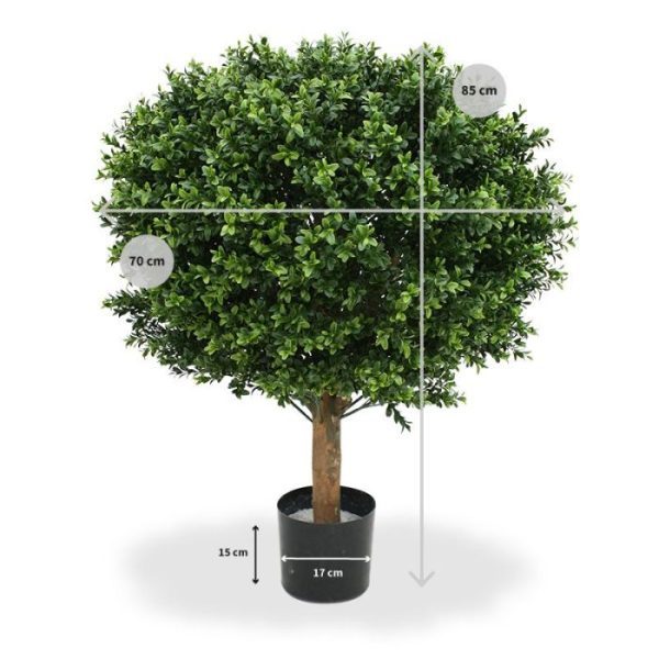 Buxus-Bol-Deluxe-70-cm-5 Buxus Bol Deluxe 70 cm 5
