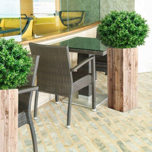 Buxus-Bol-Deluxe-70-cm-6 Buxus Bol Deluxe 70 cm 6