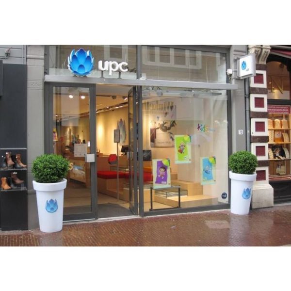 Buxus-Bol-Deluxe-70-cm-9 Buxus Bol Deluxe 70 cm 9