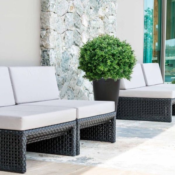 Buxus Bol Deluxe 80 cm UV 10