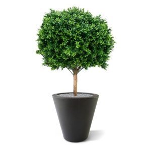 De Buxus Bol Deluxe 80 cm UV is gemaakt van een hoogwaardige PVC. Daardoor is deze UV kunstboom ideaal om buiten mooie decoraties mee te maken.   De vernieuwde versie is met name door zijn kleur en nieuwe blaadjes bijna niet meer van de echte Buxus te onderscheiden! De Buxusbol heeft een totale hoogte van 95 cm en een diameter van 80 cm.   Standaard wordt de kunstbuxus geleverd in een plastic binnen pot. De afgebeelde sierpotten zijn tegen meerprijs leverbaar.   Omdat de UV-protector enkel in de grondstof van de kunststof delen is verwerkt