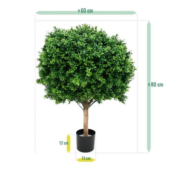 Buxus Bol Deluxe 80 cm UV 4