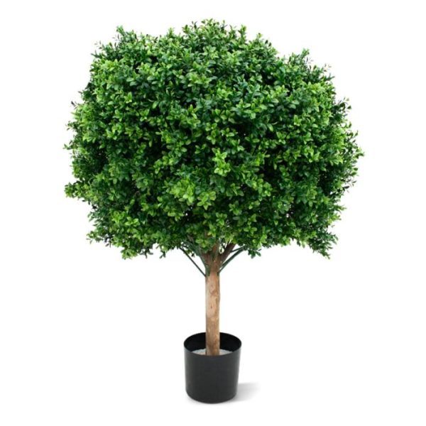 Buxus Bol Deluxe 80 cm UV 7