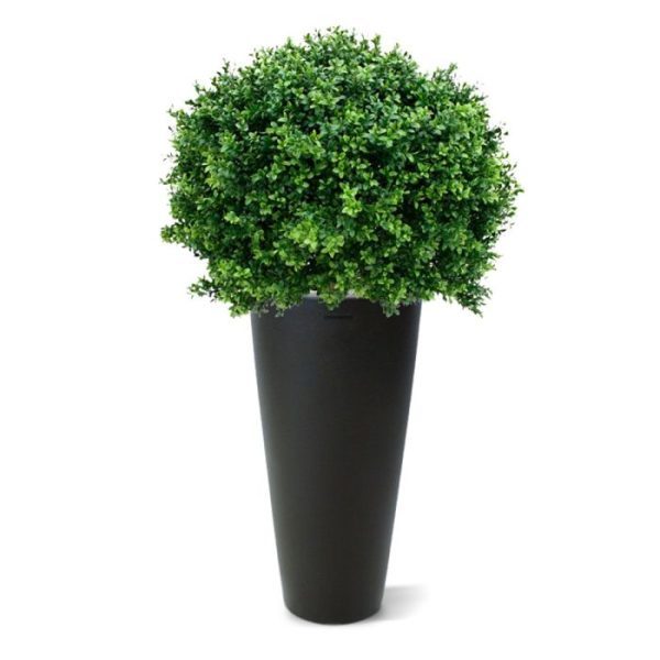 Buxus Bol Deluxe 80 cm UV 9