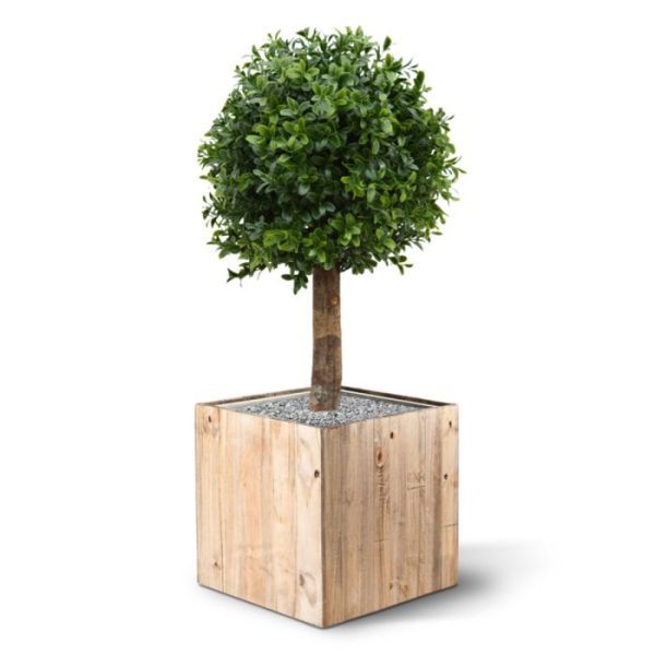 Buxus-Bol-Deluxe-New-25-cm-UV-3 met een diameter van ongeveer 25 cm.   Standaard wordt de Buxusbol geleverd in een plastic binnenpot. De afgebeelde sierbak (Virginia Small 50x20x20 cm) is tegen meerprijs leverbaar.   Omdat de UV-protector enkel in de grondstof van de kunststof delen is verwerkt