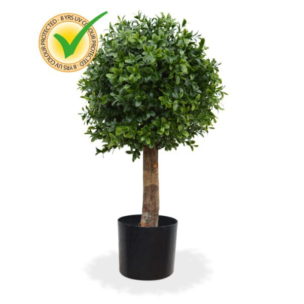 Buxus-Bol-Deluxe-New-25-cm-UV-9 Buxus Bol Deluxe New 25 cm UV 9