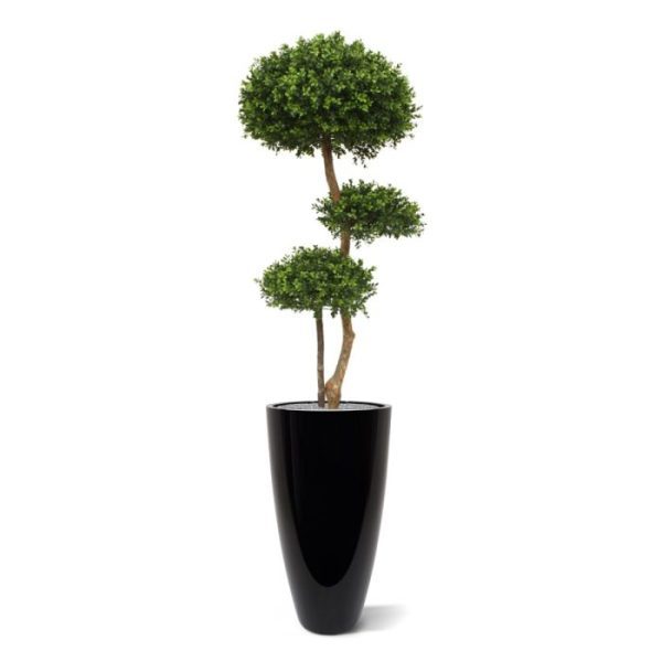 Buxus-Bol-Deluxe-x3-140-cm-UV-3 maken deze versie bijzonder decoratief. Deze natuurlijk ogende buxus kunstboom is in de tuin goed te combineren met bijvoorbeeld de lage buxus heg.   De kunstboom is ongeveer 140 cm hoog