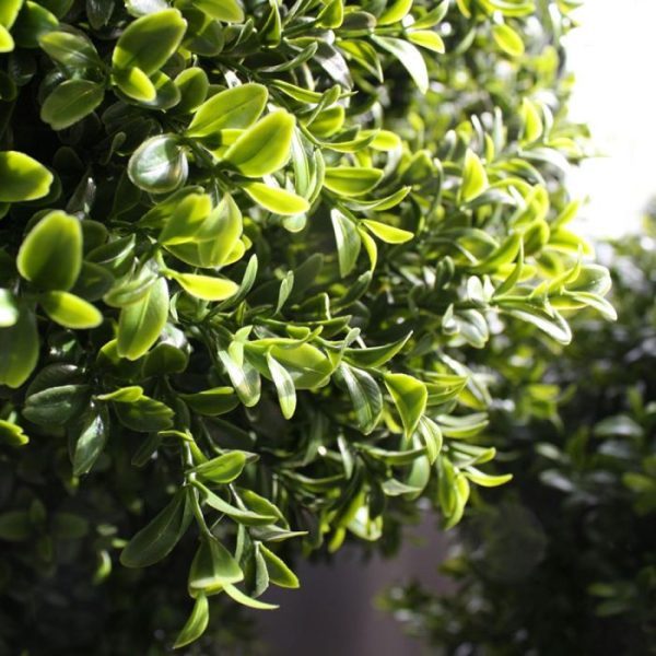 Buxus-Bol-Deluxe-x3-140-cm-UV-6 zullen deze gedurende 8 jaar lang beschermt zijn tegen verkleuren.  Let op! De stam is van echt hout en dus vatbaar voor weersinvloeden en zwammen. Voor een langere levensduur raden wij aan om de stam te behandelen met een primer of beits.