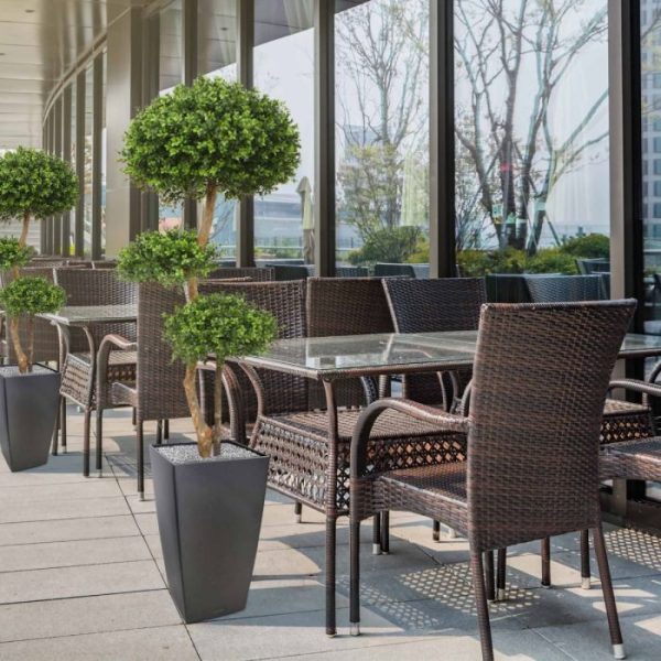 Buxus-Bol-Deluxe-x3-140-cm-UV-8 Buxus Bol Deluxe x3 140 cm UV 8