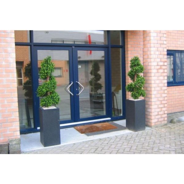 Buxus Spiraal Deluxe 140 cm 2