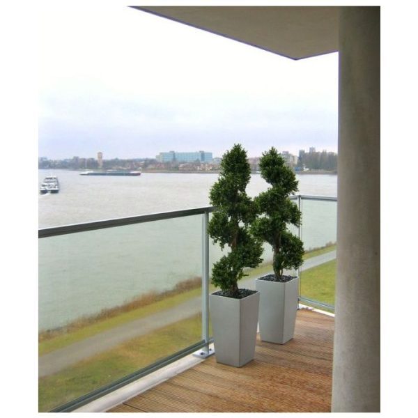 Buxus Spiraal Deluxe 140 cm 3