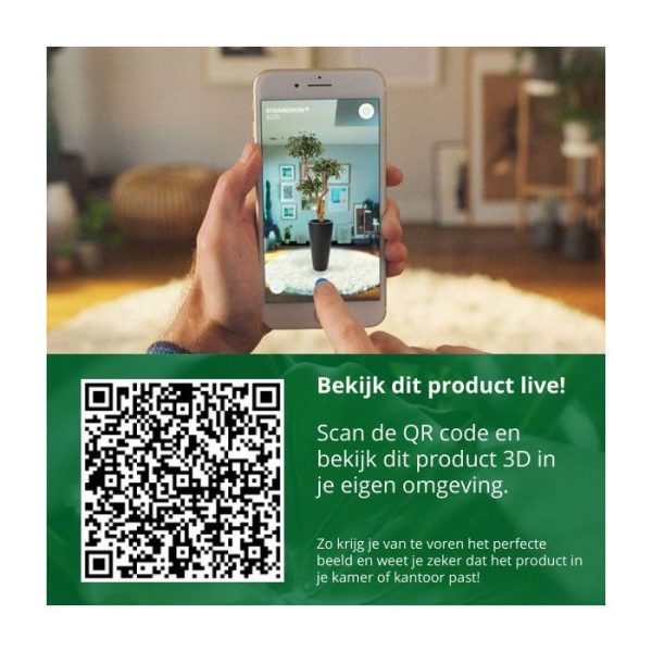 Buxus Spiraal Deluxe 140 cm 9