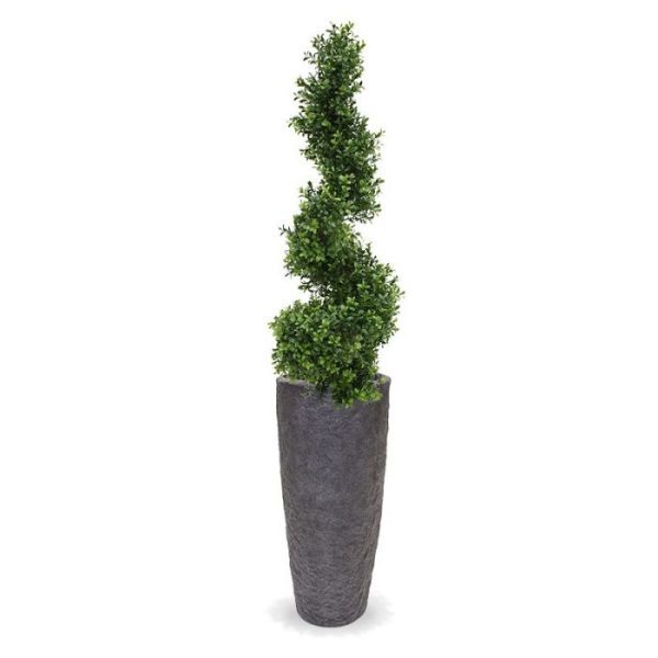 Buxus Spiraalboom Deluxe 100 cm 1