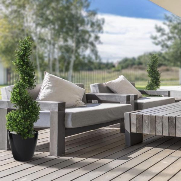 Buxus Spiraalboom Deluxe 100 cm 7