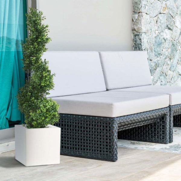 Buxus Spiraalboom Deluxe 100 cm 8