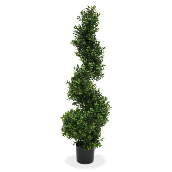 Buxus Spiraalboom Deluxe 100 cm 9