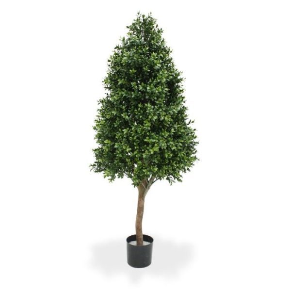 ook wel ronde Pyramide genoemd