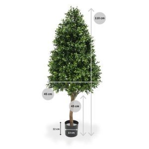 Dit Buxus model
