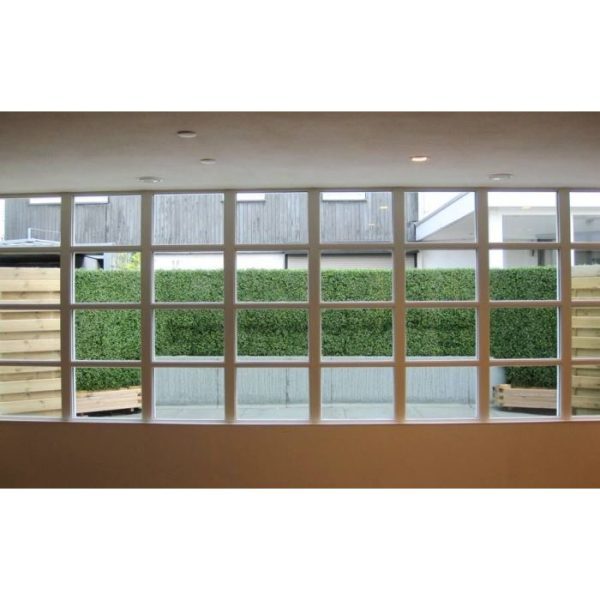 Buxus matje x300 UV 5