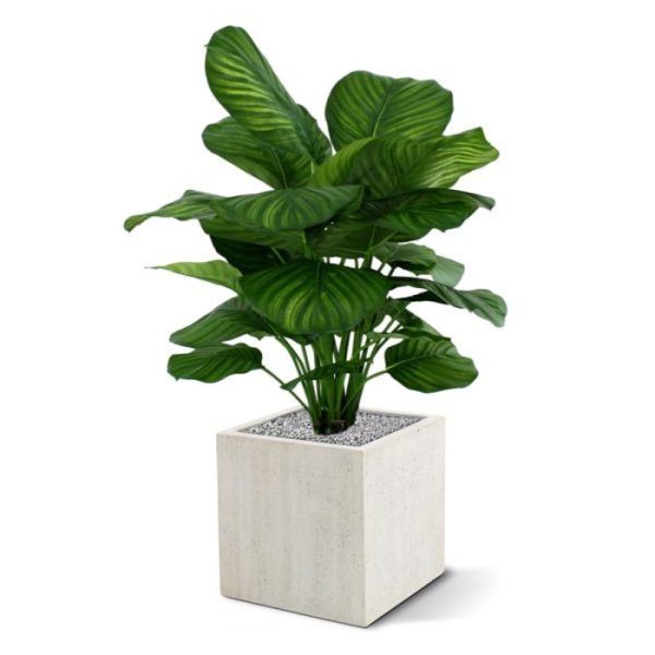 Calathea-Fasciata-80-cm-kunstplant-4 zodat deze zich gemakkelijk in een sierpot laat plaatsen. In combinatie met een hoge sierpot
