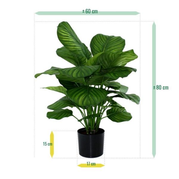 Calathea-Fasciata-80-cm-kunstplant-7 Calathea Fasciata 80 cm kunstplant 7