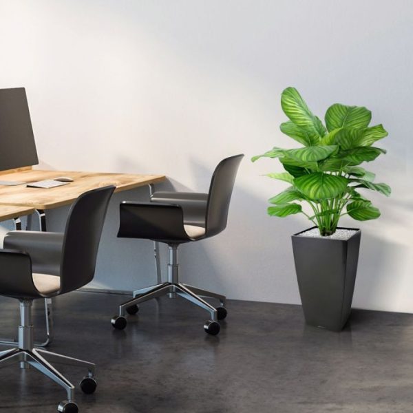 Calathea-Fasciata-80-cm-kunstplant-8 Calathea Fasciata 80 cm kunstplant 8