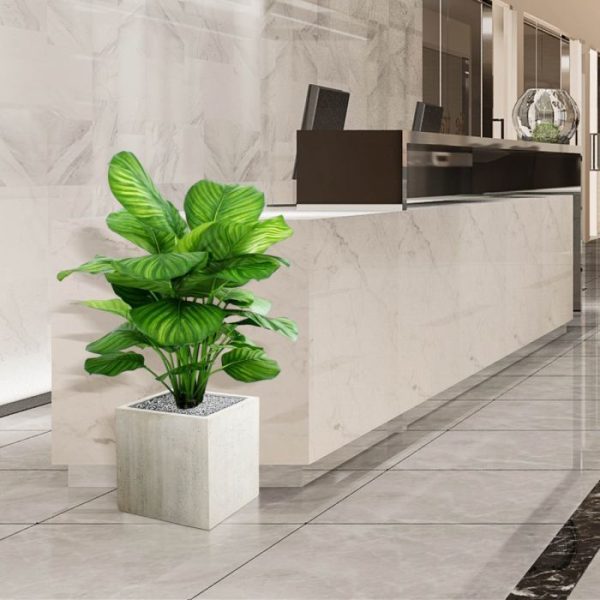 Calathea-Fasciata-80-cm-kunstplant-9 Calathea Fasciata 80 cm kunstplant 9