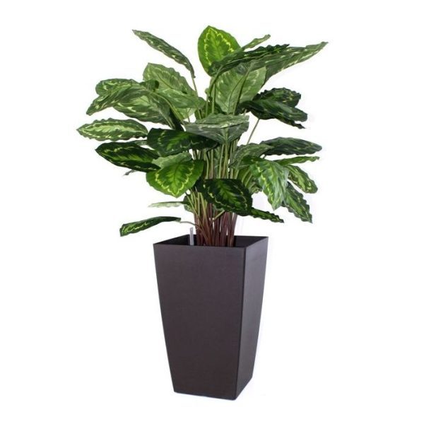 Kunstplanten de Calathea Rosea Picta