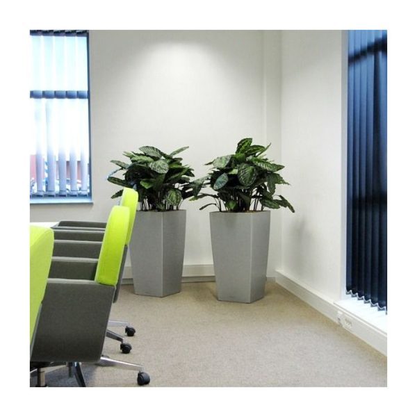Calathea-Rosea-Picta-80-cm-kunstplant-10 Calathea Rosea Picta 80 cm kunstplant 10