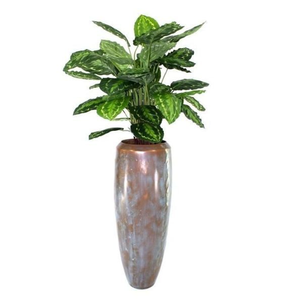 Calathea-Rosea-Picta-80-cm-kunstplant-3 de diameter ±60 cm en de bladkleur is donkergroen met een lichte bladprint.   Standaard wordt de Calathea Fasciata kunstplant in een 17 cm plastic binnenpot geleverd