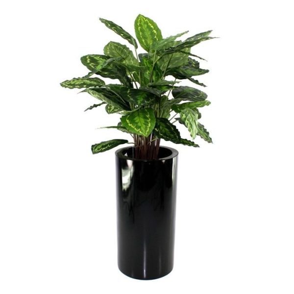 Calathea-Rosea-Picta-80-cm-kunstplant-4 zodat deze zich gemakkelijk in een sierpot laat plaatsen. In combinatie met een hoge sierpot