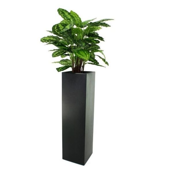 Calathea-Rosea-Picta-80-cm-kunstplant-5 past de plant perfect in een modern interieur.