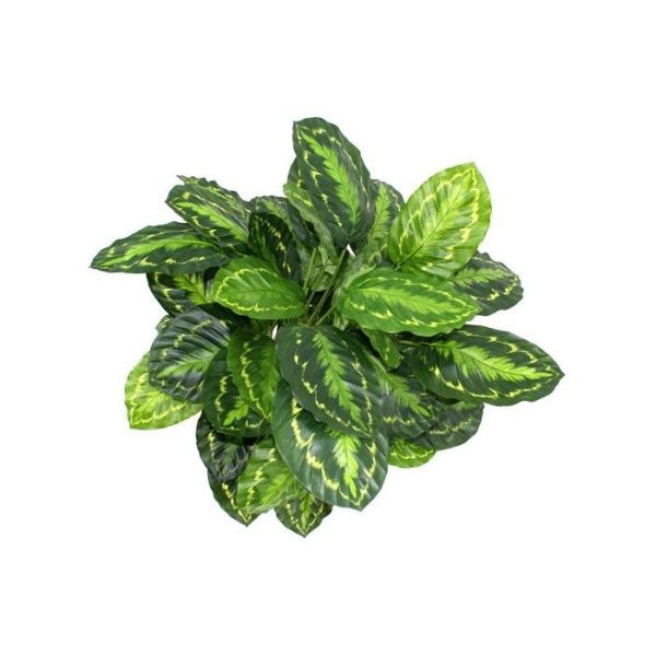 Calathea-Rosea-Picta-80-cm-kunstplant-7 Calathea Rosea Picta 80 cm kunstplant 7