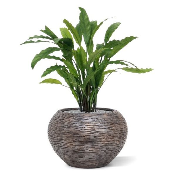 Groene kunstplanten de diameter ±50cm en de bladkleur is fris groen.Standaard wordt deze plant in een plastic pot geleverd van 11cm