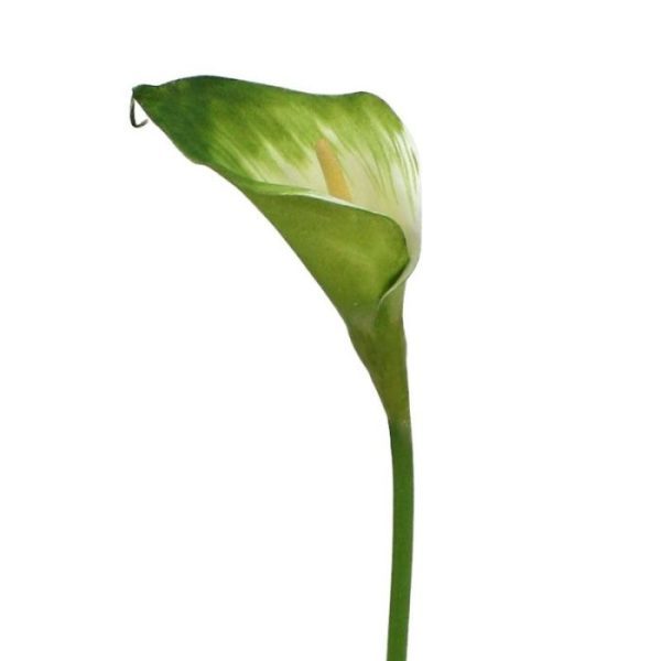 Calla kunst steelbloem 55 cm groen wit 7