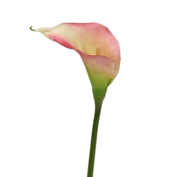 Calla-kunst-steelbloem-55-cm-rose-7 Calla kunst steelbloem 55 cm rose 7