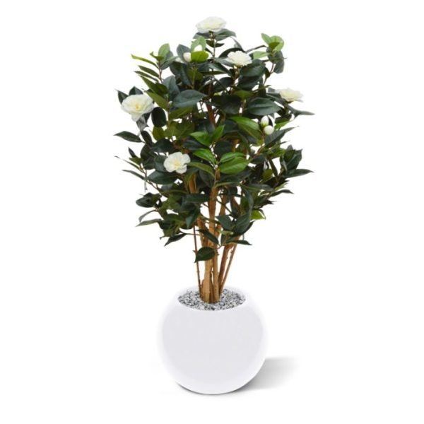 Kunstbomen zoals hij in menig tuin is terug te vinden. De zijden Camelia heeft een hoogte van ± 100 cm en een diameter van ± 50 cm. De hoogwaardige Camelia bloemen hebben een creme kleurige bloemen met een delicaat geel hart en hebben allemaal diverse afmeting