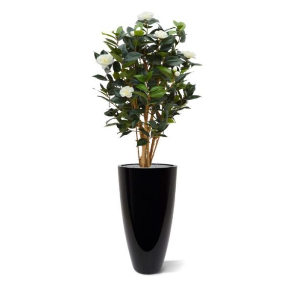 Camelia Japonica Kunstplant Deluxe 100 cm creme Deze fleurige Camelia Japonica kunstplant behoort zeker tot de top onder de bloeiende planten. De Camelia is gemaakt op echte houten stammetjes en heeft daardoor een zeer natuurlijke vorm