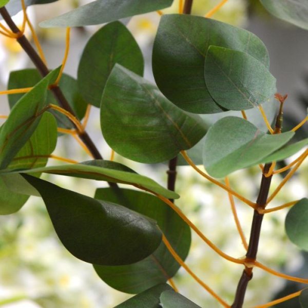 Kunstbloemen kunstzijden blad heeft een natuurgetrouwe groene kleur en een subtiele bladnerf. De kunsttak is zeer goed nagemaakt met 2 zijtakken waaruit de 51 bladeren voortkomen. De totale lengte van de kunsttak is ongeveer 80 cm. De breedte ligt tussen de 20 en 30 cm.