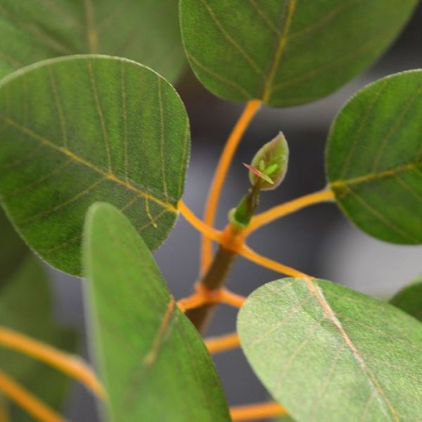 Kunst bladtakken Cercis Canadensis kunsttak 80 cm groen 2