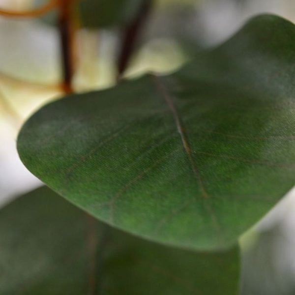 Cercis-Canadensis-kunsttak-80-cm-groen-3 Cercis Canadensis kunsttak 80 cm groen 3