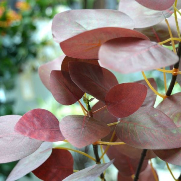 kunstzijden blad heeft een natuurgetrouwe rode kleur en een subtiele bladnerf. De kunsttak is zeer goed nagemaakt met 2 zijtakken waaruit de 51 bladeren voortkomen. De totale lengte van de kunsttak is ongeveer 80 cm. De breedte ligt tussen de 20 en 30 cm.