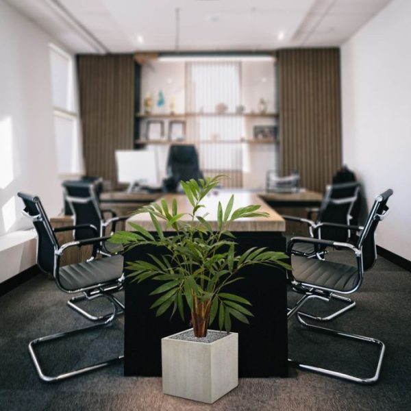 Chamaedorea-kunstpalm-85-cm-in-pot-6 Chamaedorea kunstpalm 85 cm in pot 6