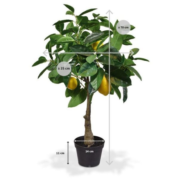 Citroen kunstplant 70 cm 3
