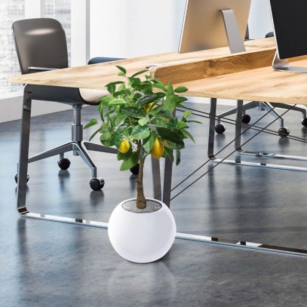 Citroen kunstplant 70 cm 4