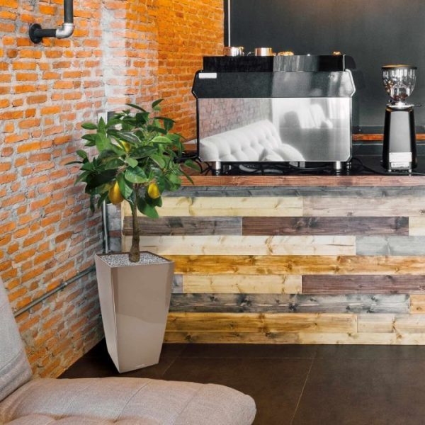 Citroen kunstplant 70 cm 5