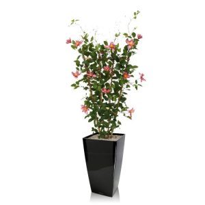De Clematis kunstheg 125 cm rose is gemaakt rond een raamwerk van bamboe waaraan de klimplant zijn vorm ontleent. De kunstplant wordt gekenmerkt door haar bloeiende kelk bladeren